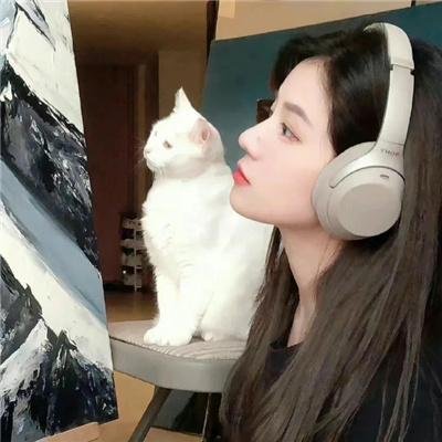痞子殿下粤语