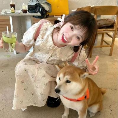 偶然与想象之轮