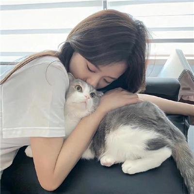 檀岛玉女